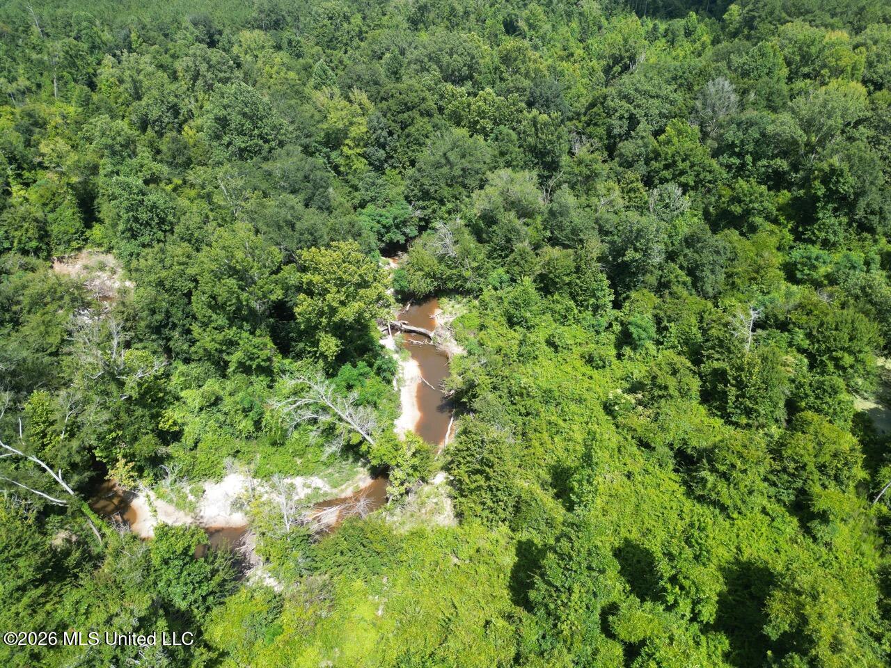 Pam Road Aimwell, LA 71401 - Photo 12 of 38 DJI_0453 Large