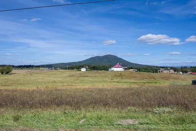 a view of a lake with a city