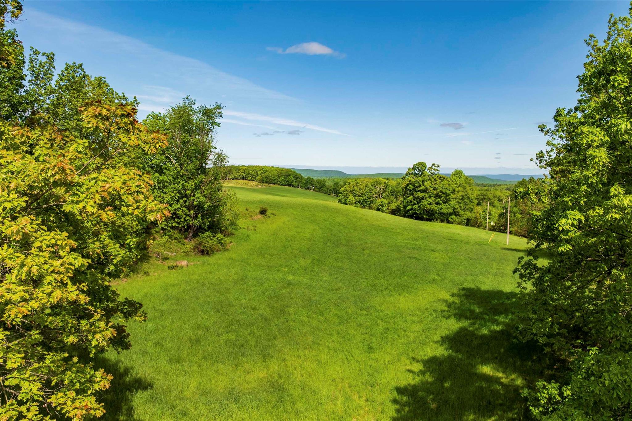 15 Red Rock Road Wawarsing, NY 12489 - Photo 1 of 10 a view of a yard with a tree