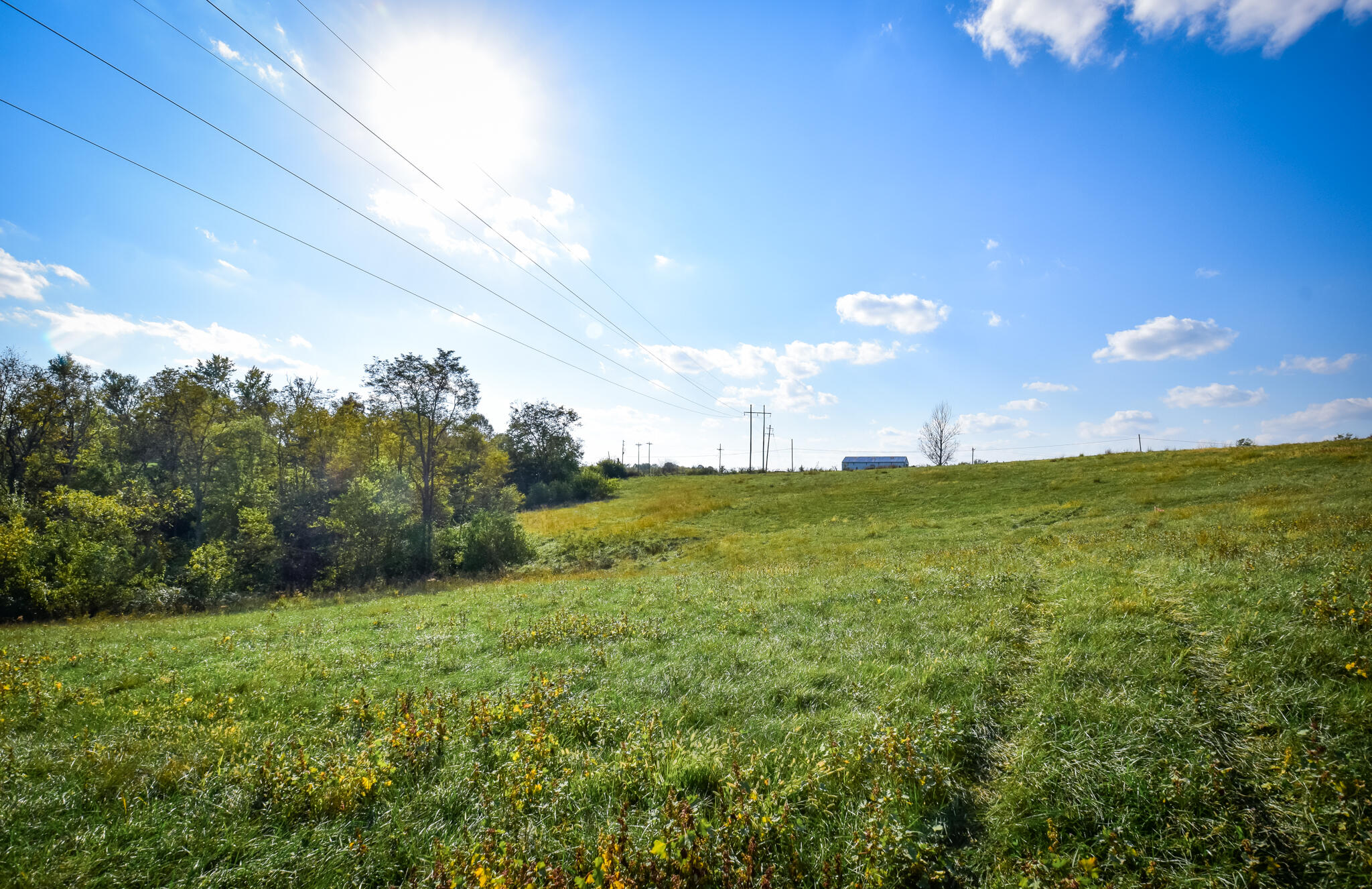 3586 Mt Hebron Road, Unit TRACT #1 Lancaster, KY 40444 - Photo 4 of 6 DSC_0044
