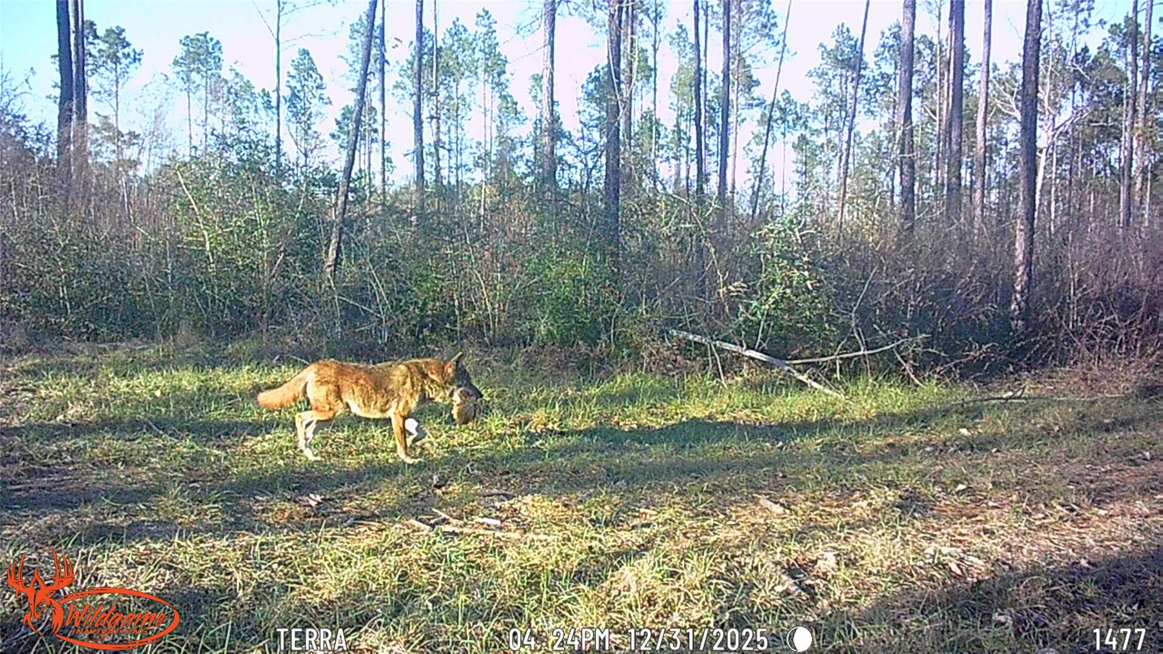 0 FM 1005 Jasper, TX 75951 - Photo 11 of 12