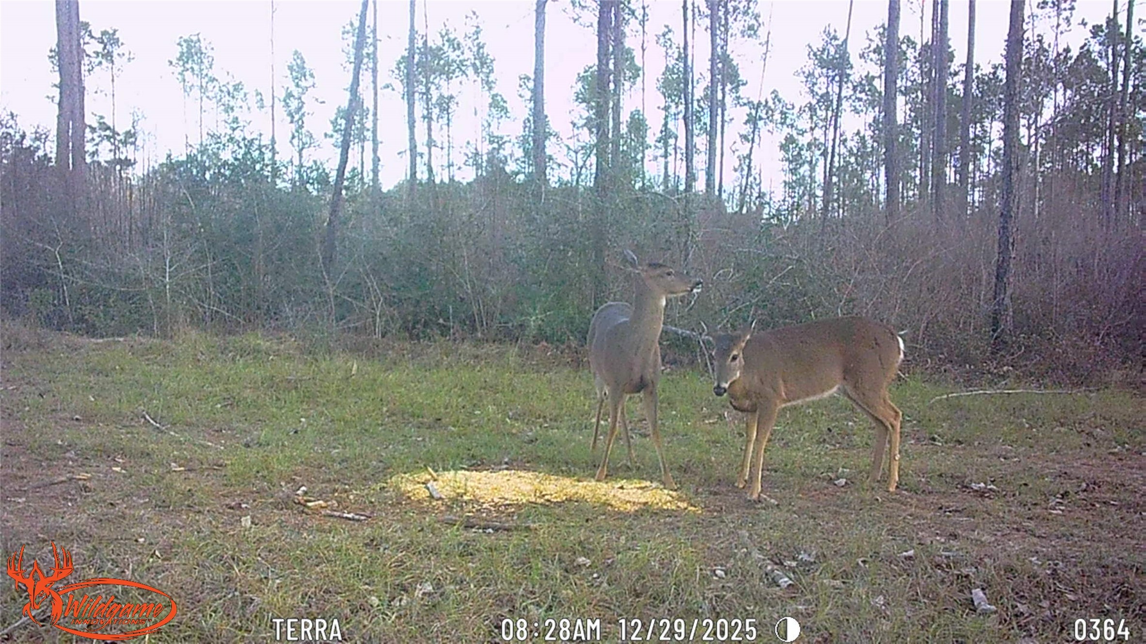 0 FM 1005 Jasper, TX 75951 - Photo 12 of 12
