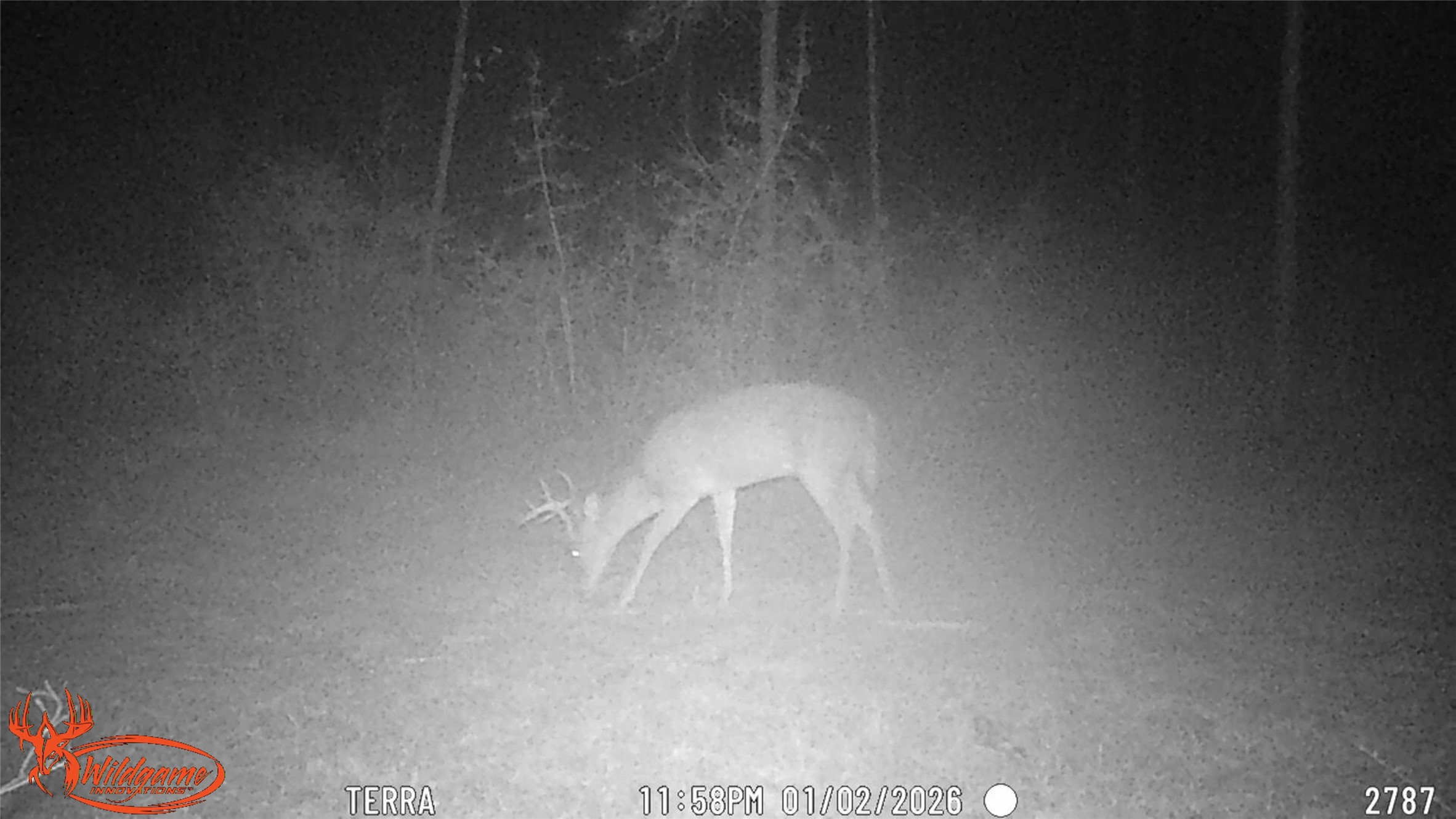 0 FM 1005 Jasper, TX 75951 - Photo 8 of 12