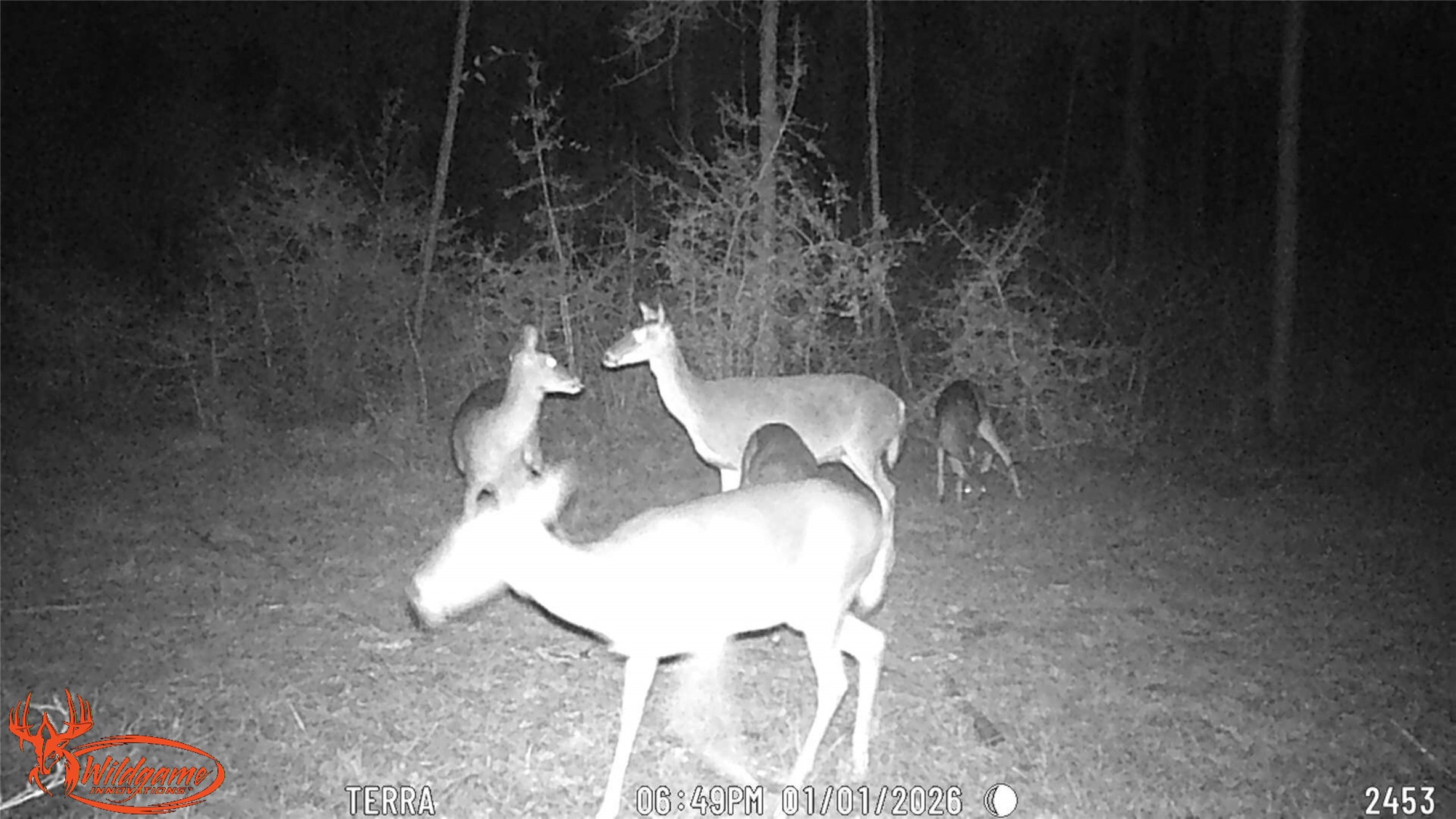 0 FM 1005 Jasper, TX 75951 - Photo 9 of 12