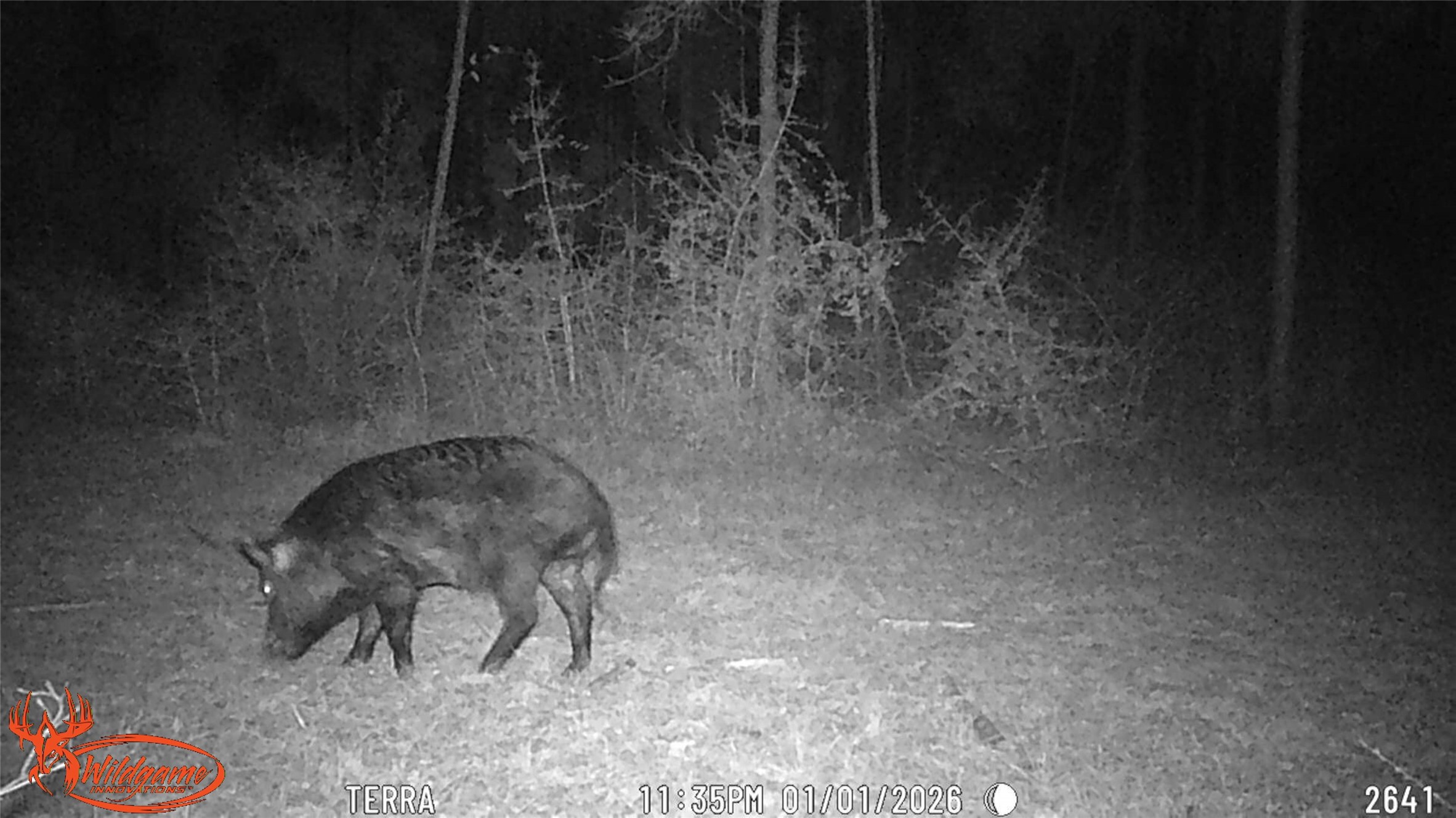 0 FM 1005 Jasper, TX 75951 - Photo 10 of 12