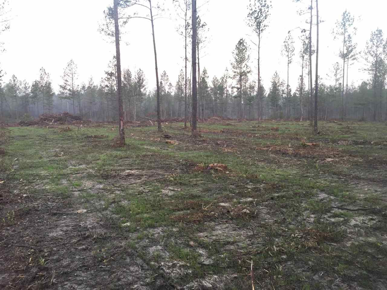 0 Shell Oil Road, Unit 4 Brandon, MS 39042 - Photo 3 of 5 Photo 3