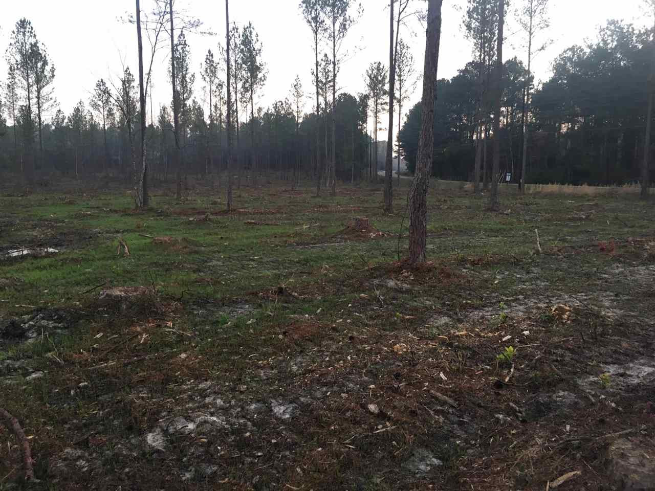 0 Shell Oil Road, Unit 4 Brandon, MS 39042 - Photo 4 of 5 Photo 4