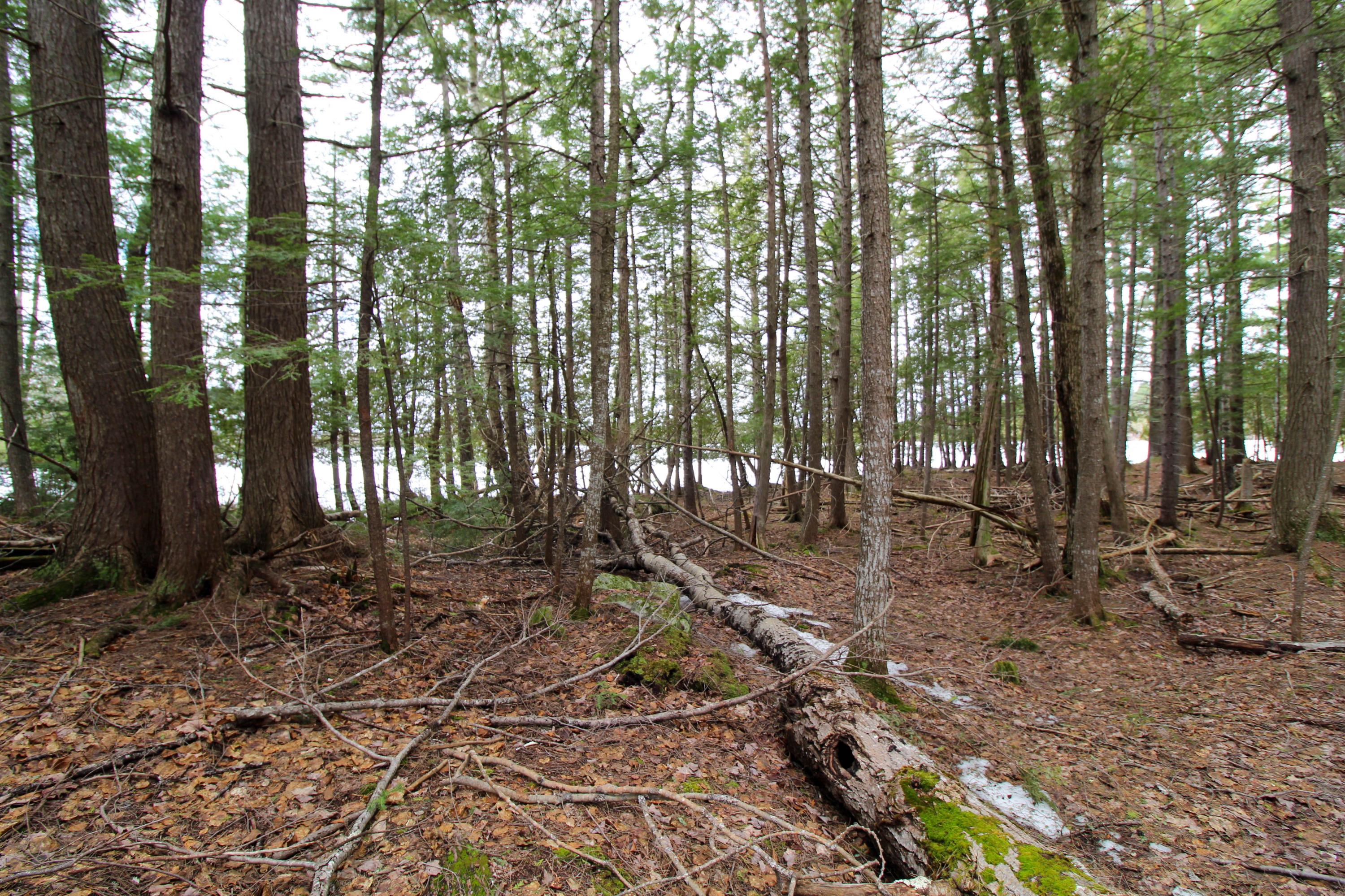 Lot 18 Pullyard Road Sangerville, ME 04479 - Photo 12 of 24 Plenty of Space