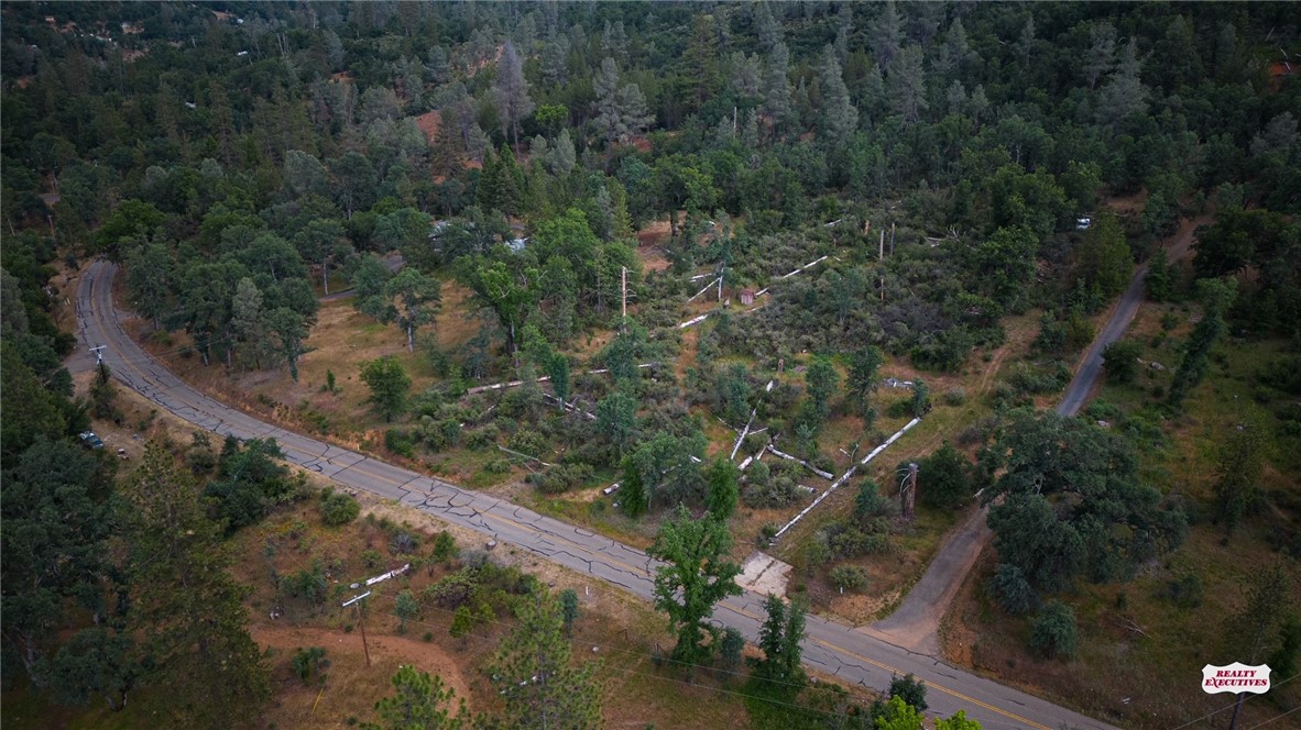 a view of a forest from balcony