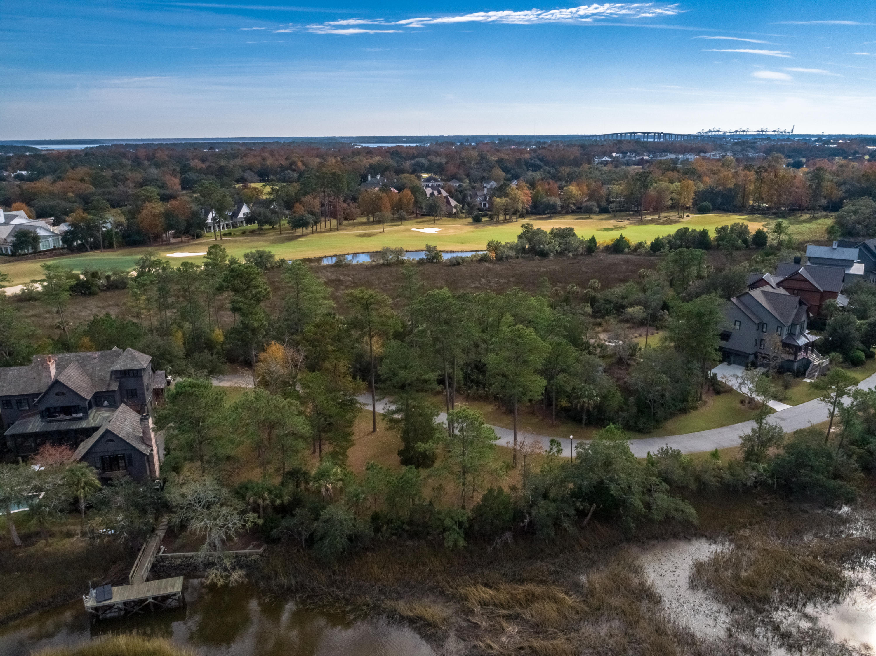 55 Watroo Point Daniel Island, SC 29492 - Photo 4 of 11 DJI_0005
