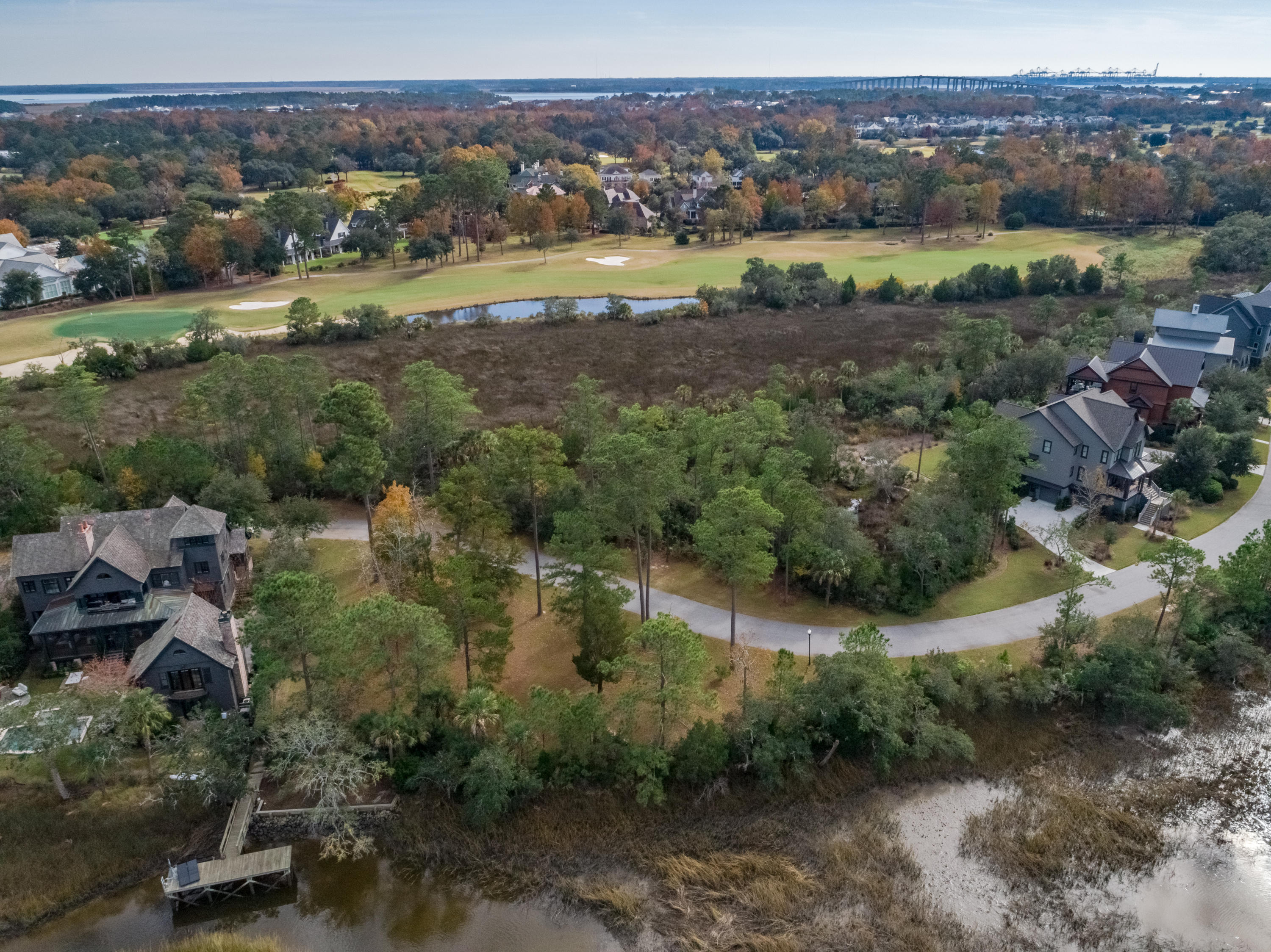 55 Watroo Point Daniel Island, SC 29492 - Photo 5 of 11 DJI_0006