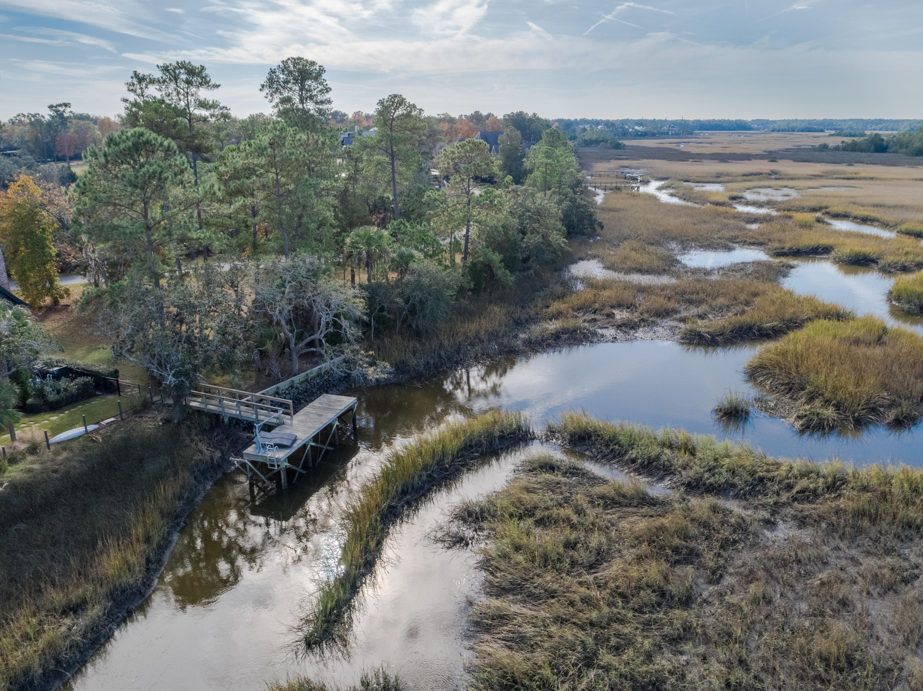 55 Watroo Point Daniel Island, SC 29492 - Photo 8 of 11 DJI_0016