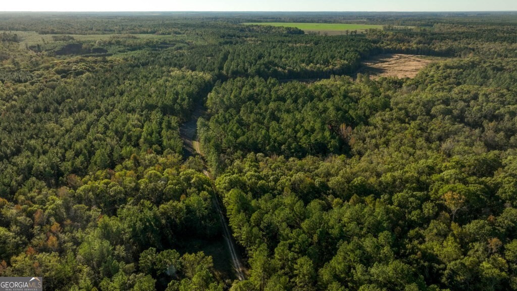 2 Old Savannah Road, Unit TRACT 2 Millen, GA 30442 - Photo 27 of 28