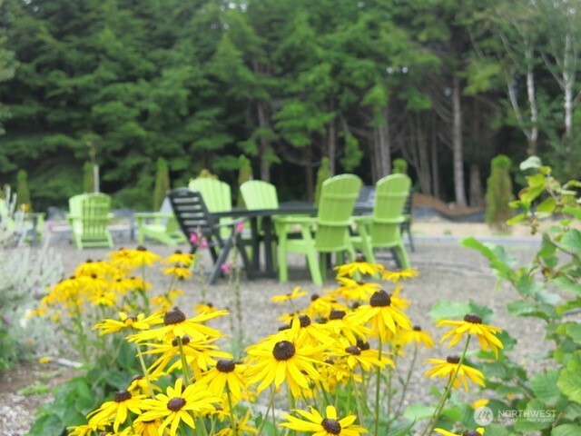 36 Easthaven Street Pacific Beach, WA 98571 - Photo 30 of 33