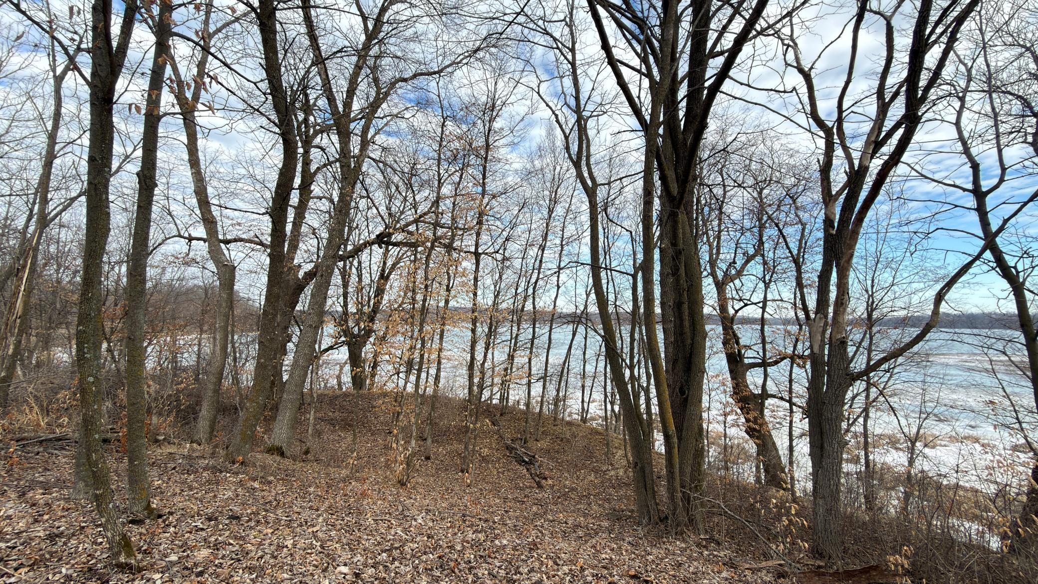 Lot 11 West Stalker Road Dalton, MN 56324 - Photo 25 of 27