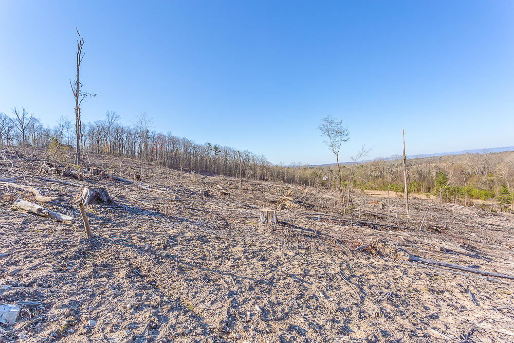 0 Twin Cedars Road Rock Spring, GA 30739 - Photo 14 of 81 Twin Cedars Property HD-11