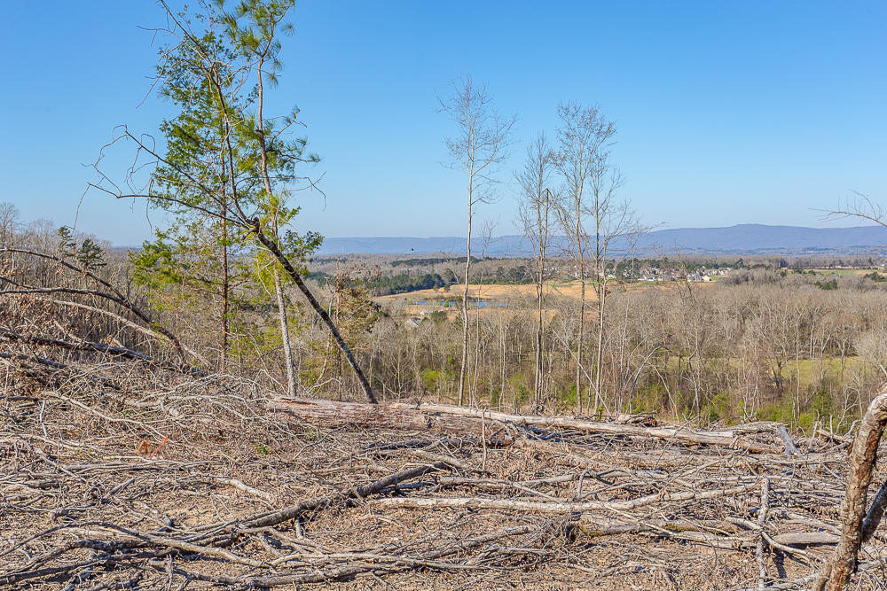 0 Twin Cedars Road Rock Spring, GA 30739 - Photo 19 of 81 Twin Cedars Property HD-23