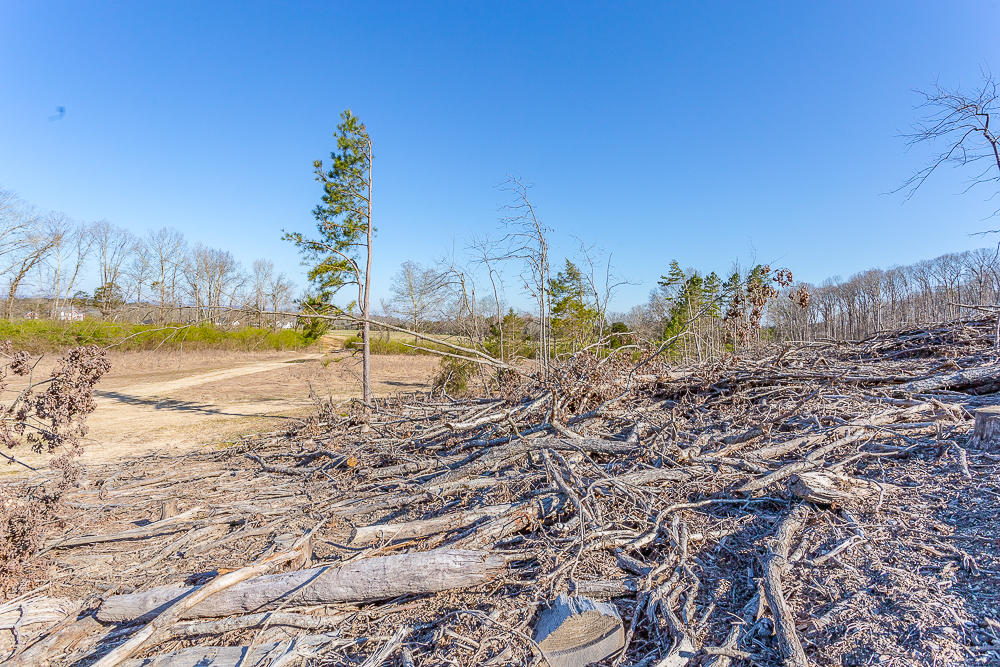 0 Twin Cedars Road Rock Spring, GA 30739 - Photo 20 of 81 Twin Cedars Property HD
