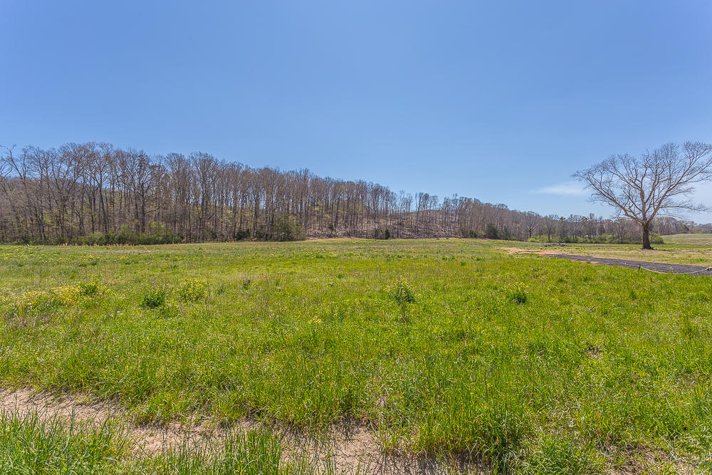 0 Twin Cedars Road Rock Spring, GA 30739 - Photo 2 of 81 Twin Cedar Extra_