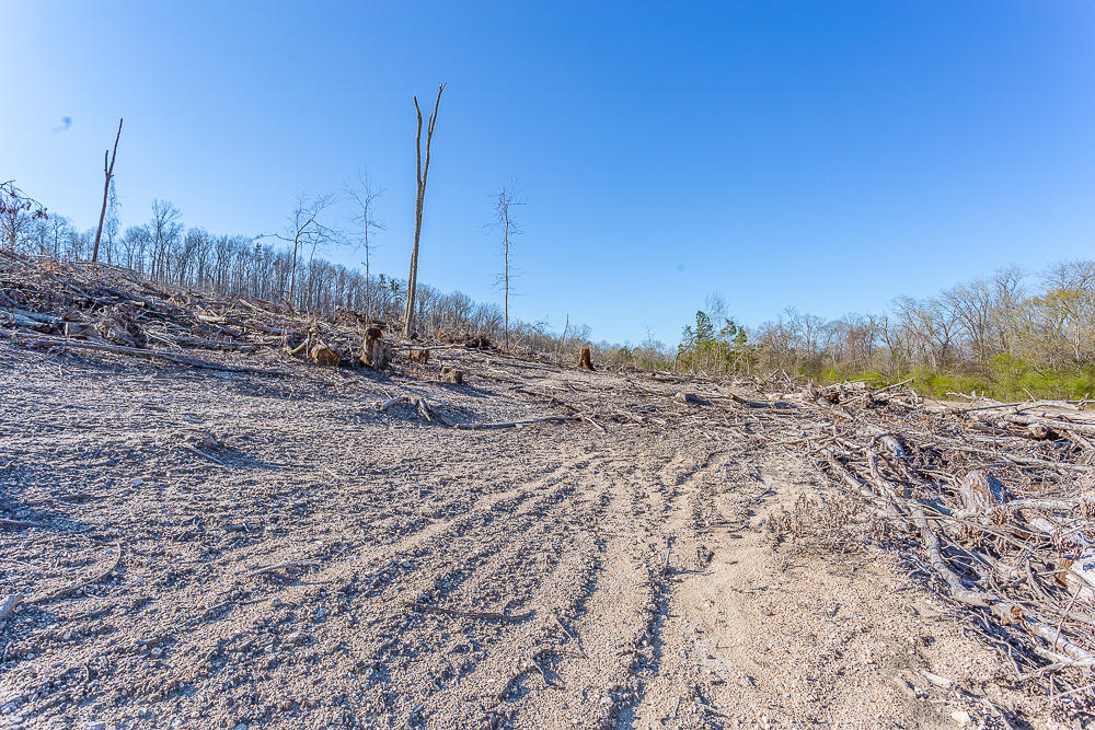 0 Twin Cedars Road Rock Spring, GA 30739 - Photo 21 of 81 Twin Cedars Property HD-2