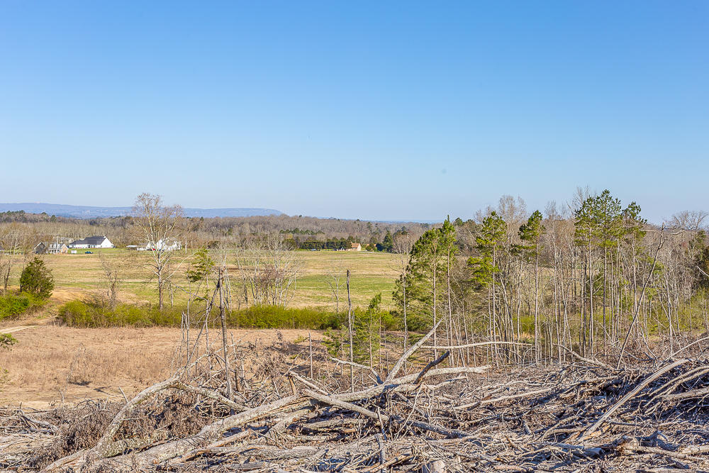 0 Twin Cedars Road Rock Spring, GA 30739 - Photo 25 of 81 Twin Cedars Property HD-7