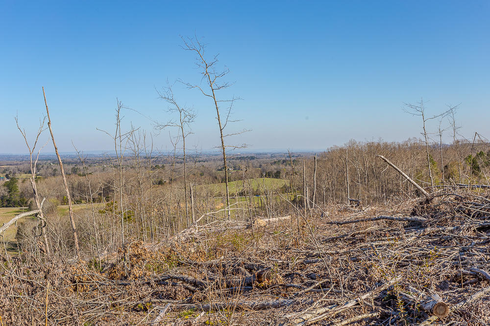 0 Twin Cedars Road Rock Spring, GA 30739 - Photo 28 of 81 Twin Cedars Property HD-16