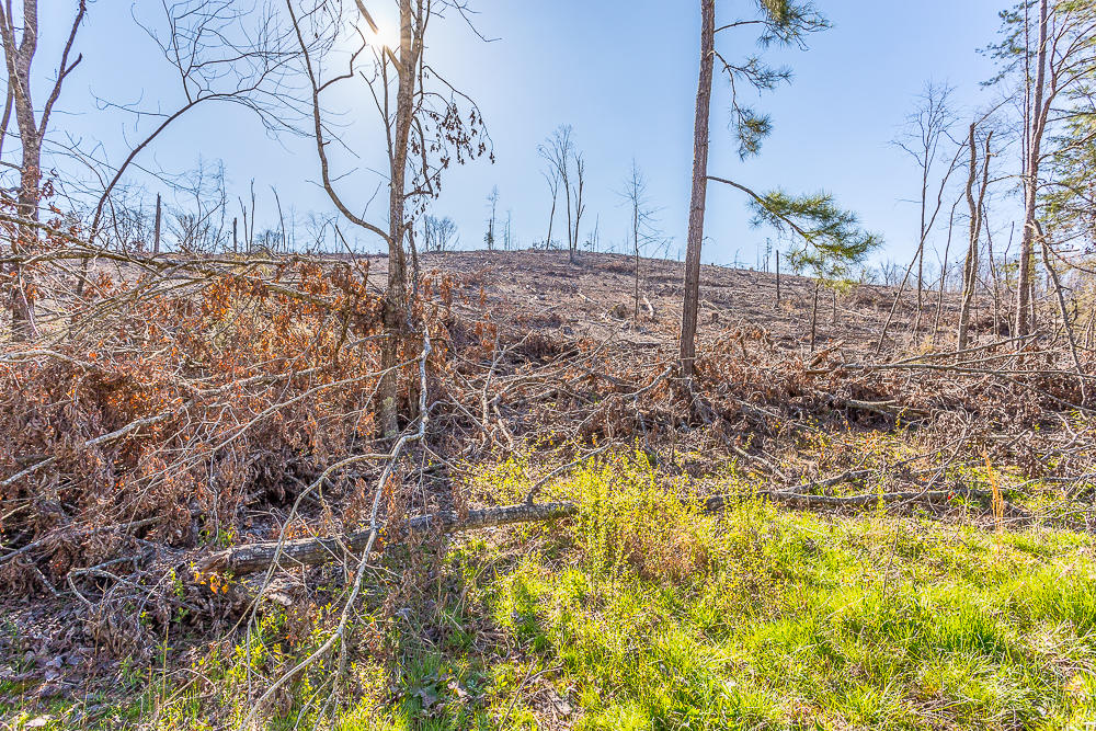 0 Twin Cedars Road Rock Spring, GA 30739 - Photo 50 of 81 Twin Cedars Property HD-41