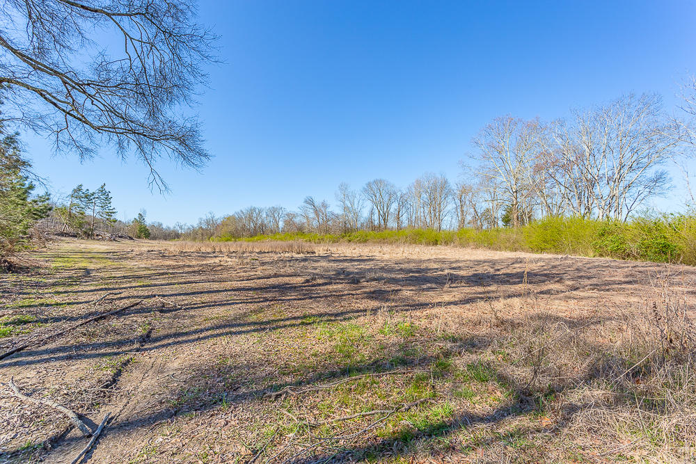 0 Twin Cedars Road Rock Spring, GA 30739 - Photo 51 of 81 Twin Cedars Property HD-42