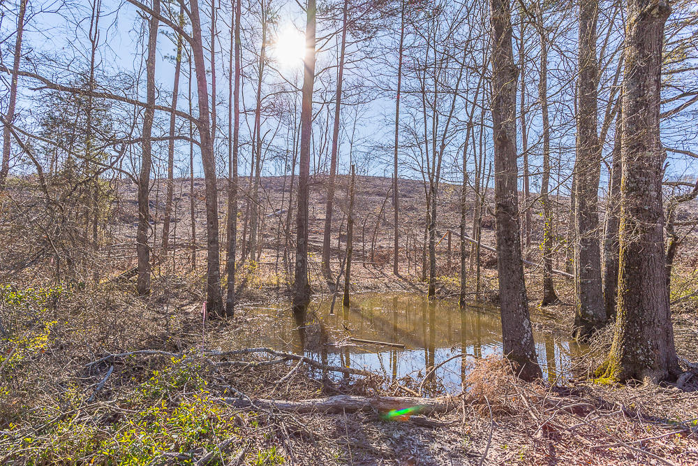 0 Twin Cedars Road Rock Spring, GA 30739 - Photo 52 of 81 Twin Cedars Property HD-43