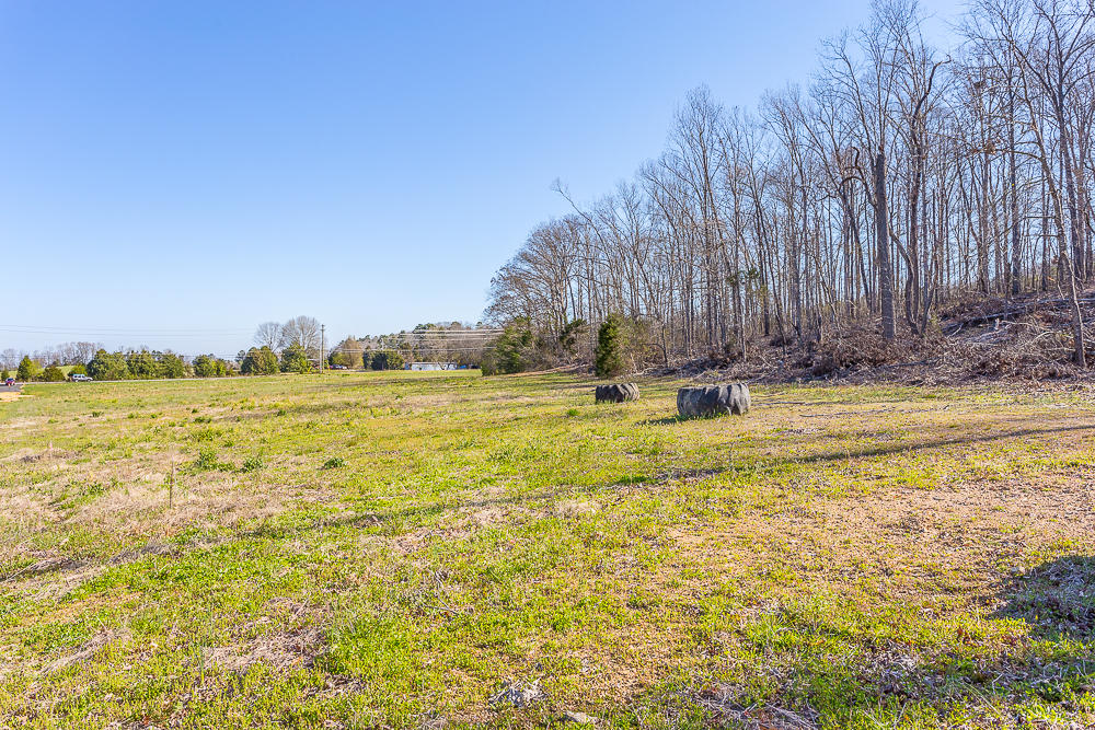 0 Twin Cedars Road Rock Spring, GA 30739 - Photo 53 of 81 Twin Cedars Property HD-44