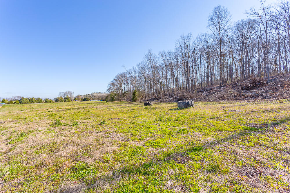 0 Twin Cedars Road Rock Spring, GA 30739 - Photo 54 of 81 Twin Cedars Property HD-45