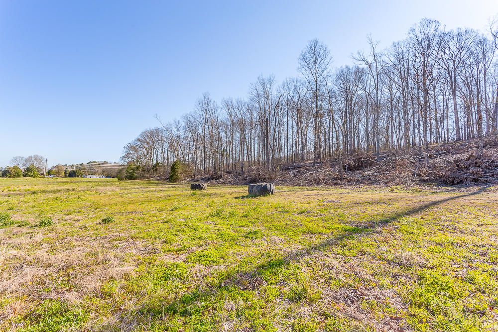 0 Twin Cedars Road Rock Spring, GA 30739 - Photo 55 of 81 Twin Cedars Property HD-46