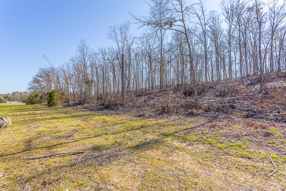 0 Twin Cedars Road Rock Spring, GA 30739 - Photo 57 of 81 Twin Cedars Property HD-48
