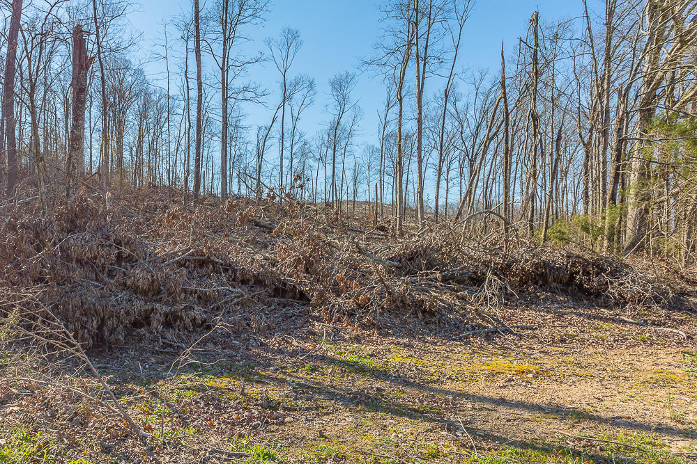 0 Twin Cedars Road Rock Spring, GA 30739 - Photo 58 of 81 Twin Cedars Property HD-49