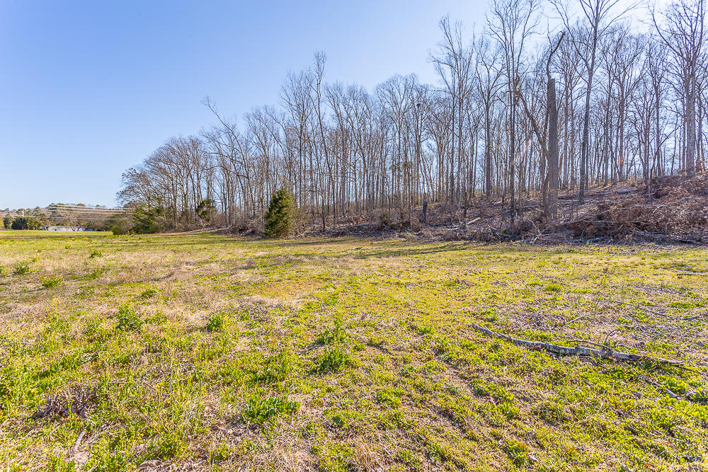 0 Twin Cedars Road Rock Spring, GA 30739 - Photo 59 of 81 Twin Cedars Property HD-50