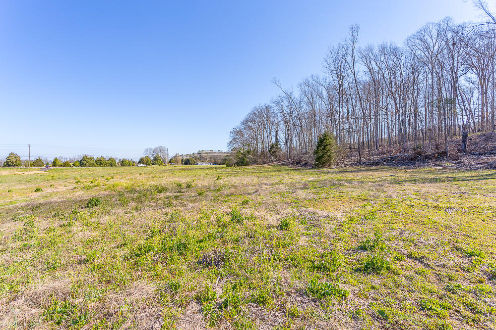 0 Twin Cedars Road Rock Spring, GA 30739 - Photo 60 of 81 Twin Cedars Property HD-51