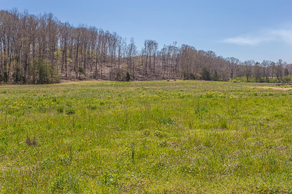 0 Twin Cedars Road Rock Spring, GA 30739 - Photo 6 of 81 Twin Cedar Extra_-4