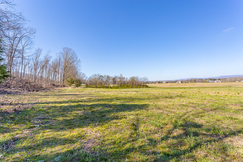0 Twin Cedars Road Rock Spring, GA 30739 - Photo 62 of 81 Twin Cedars Property HD-53