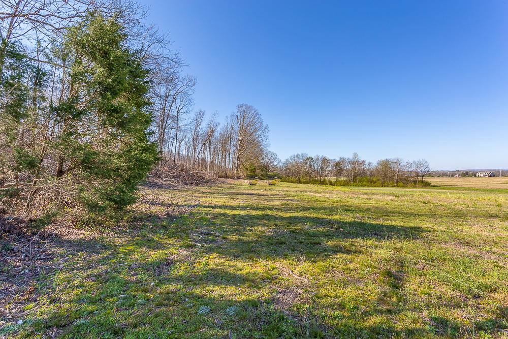 0 Twin Cedars Road Rock Spring, GA 30739 - Photo 63 of 81 Twin Cedars Property HD-54