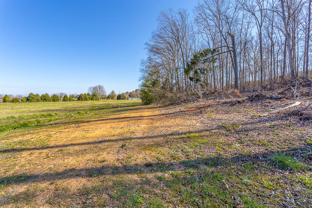 0 Twin Cedars Road Rock Spring, GA 30739 - Photo 64 of 81 Twin Cedars Property HD-55