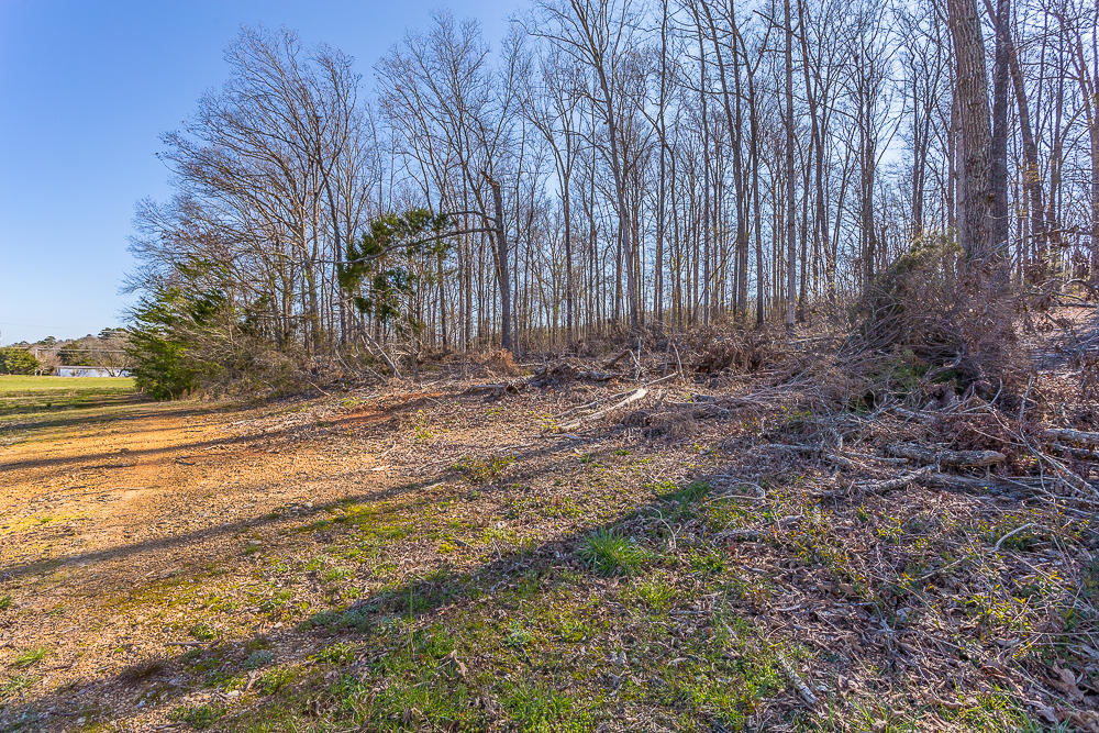 0 Twin Cedars Road Rock Spring, GA 30739 - Photo 65 of 81 Twin Cedars Property HD-56