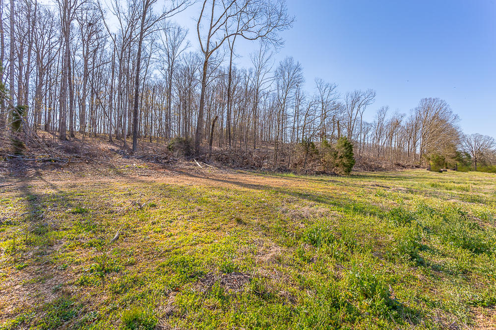 0 Twin Cedars Road Rock Spring, GA 30739 - Photo 66 of 81 Twin Cedars Property HD-57