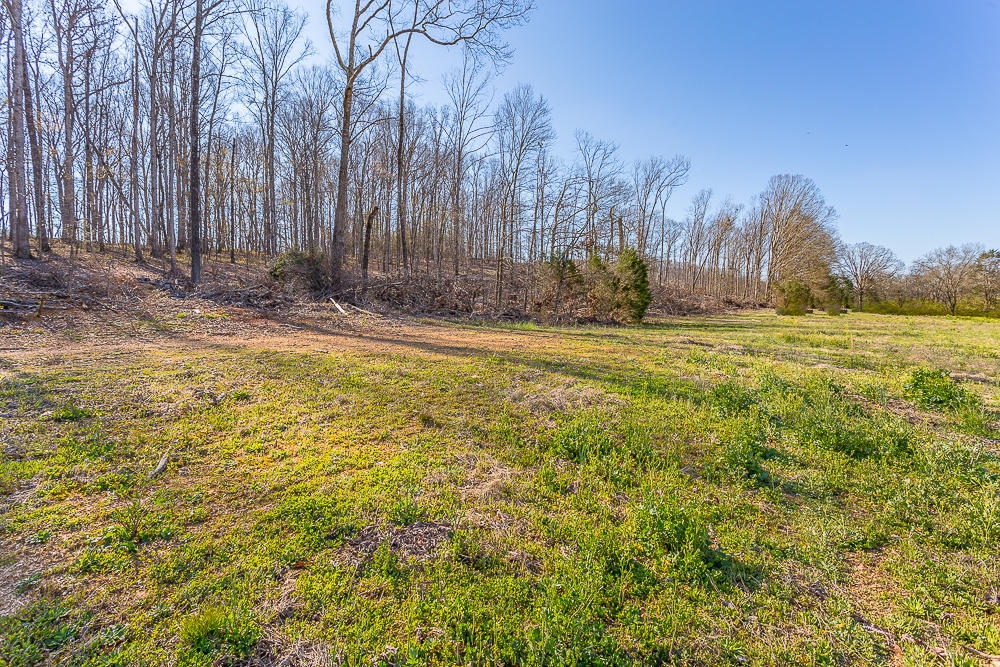 0 Twin Cedars Road Rock Spring, GA 30739 - Photo 67 of 81 Twin Cedars Property HD-58
