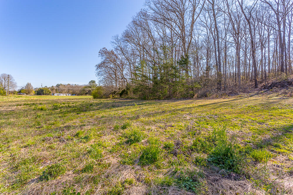 0 Twin Cedars Road Rock Spring, GA 30739 - Photo 68 of 81 Twin Cedars Property HD-59