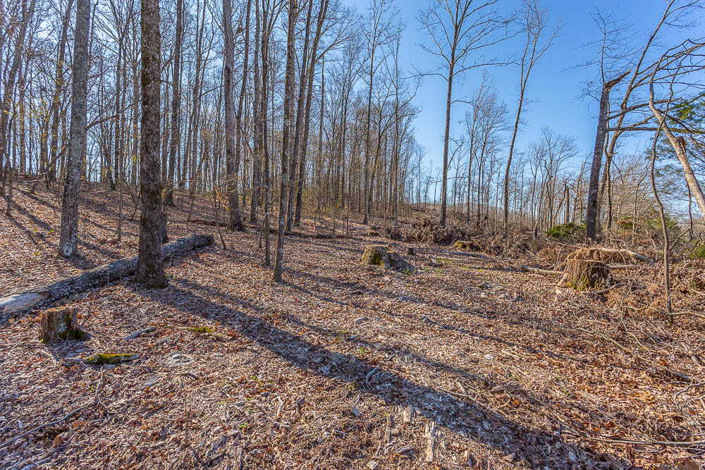 0 Twin Cedars Road Rock Spring, GA 30739 - Photo 70 of 81 Twin Cedars Property HD-61