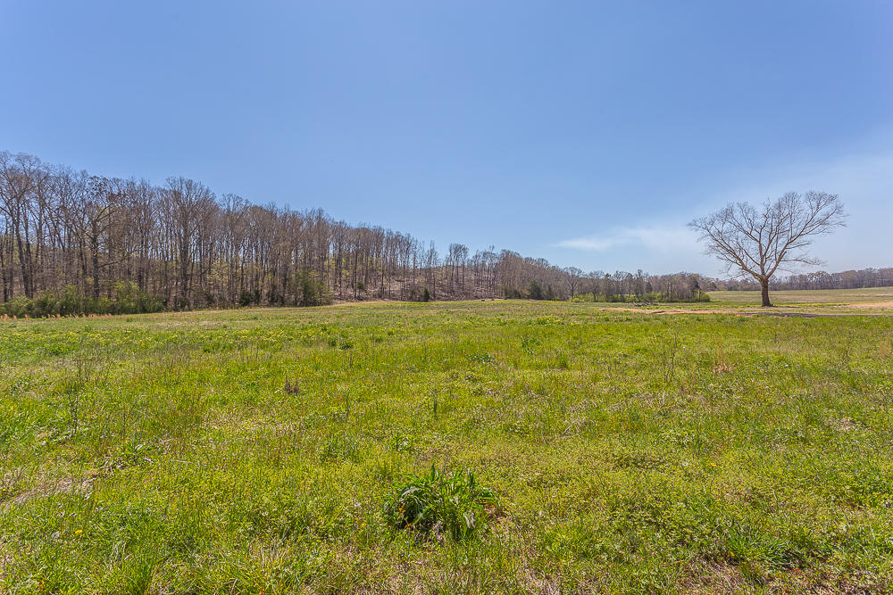 0 Twin Cedars Road Rock Spring, GA 30739 - Photo 7 of 81 Twin Cedar Extra_-5