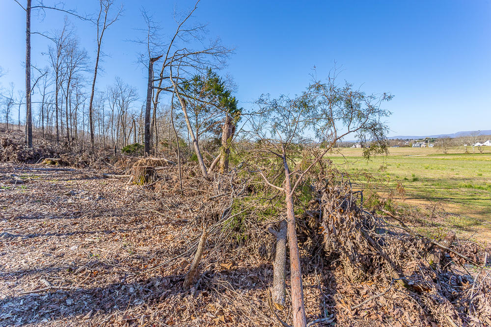 0 Twin Cedars Road Rock Spring, GA 30739 - Photo 71 of 81 Twin Cedars Property HD-62