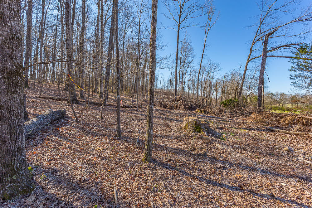 0 Twin Cedars Road Rock Spring, GA 30739 - Photo 73 of 81 Twin Cedars Property HD-64