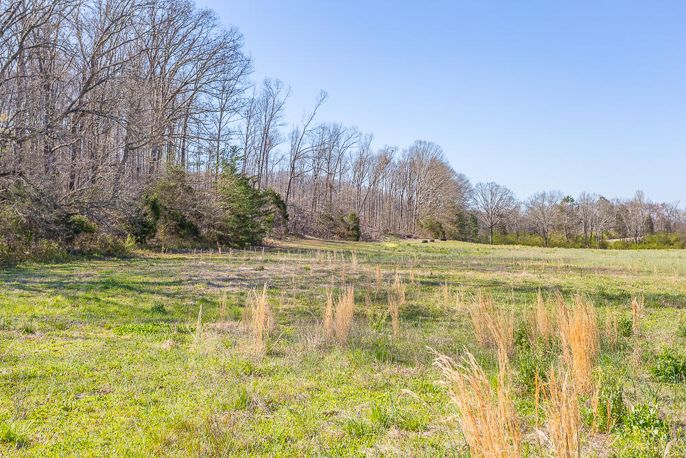 0 Twin Cedars Road Rock Spring, GA 30739 - Photo 81 of 81 Twin Cedars Property HD-72