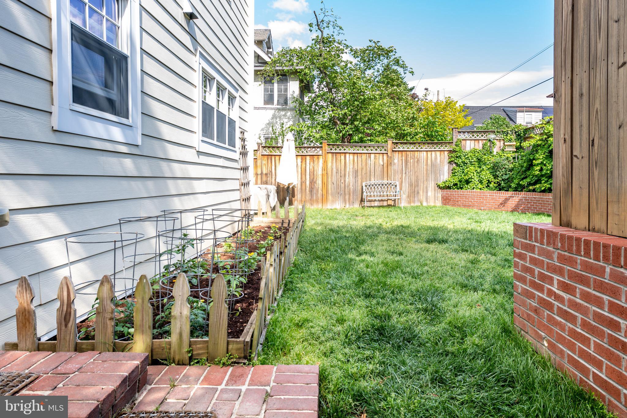 3806 Military Road Northwest Washington, DC 20015 - Photo 46 of 50 Newly planted vegetable garden